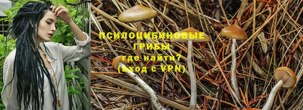 дурь Мурманск
