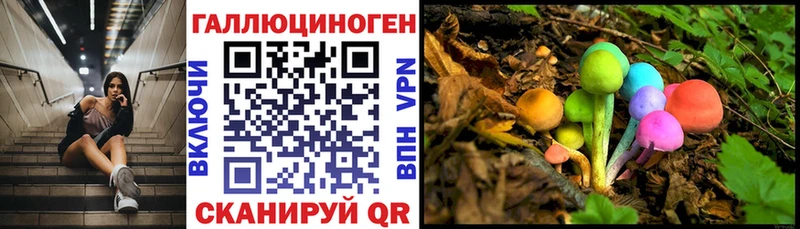 нарко площадка наркотические препараты  Барыш  Галлюциногенные грибы GOLDEN TEACHER  купить закладку 