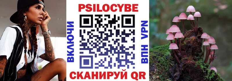 Галлюциногенные грибы Psilocybine cubensis Барыш