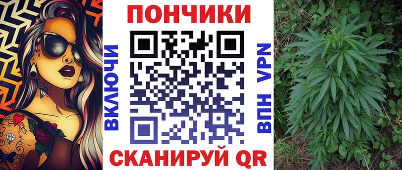 где продают   Барыш  мега   МАРИХУАНА гибрид 